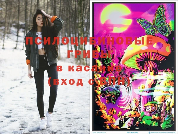 ГАЛЛЮЦИНОГЕННЫЕ ГРИБЫ Кукмор