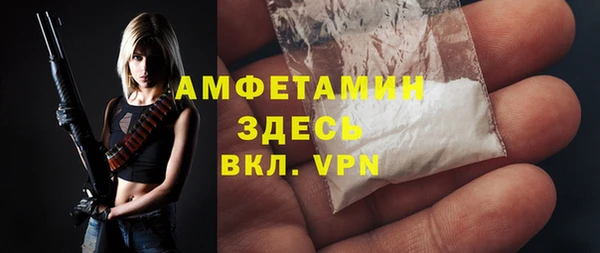 ГАЛЛЮЦИНОГЕННЫЕ ГРИБЫ Кукмор