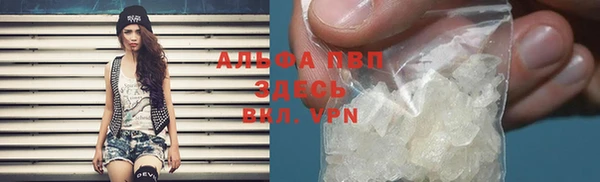 ГАЛЛЮЦИНОГЕННЫЕ ГРИБЫ Кукмор