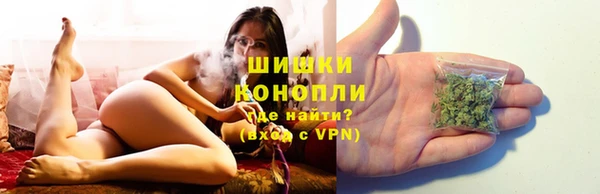 ГАЛЛЮЦИНОГЕННЫЕ ГРИБЫ Кукмор