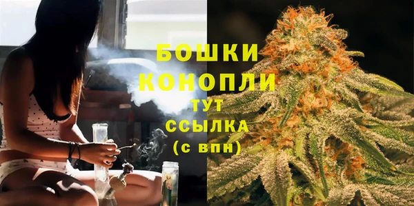 ГАЛЛЮЦИНОГЕННЫЕ ГРИБЫ Кукмор