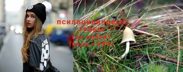 PSILOCYBIN Лагань