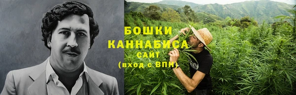ГАЛЛЮЦИНОГЕННЫЕ ГРИБЫ Кукмор