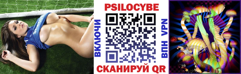 Купить закладки  Новопавловск  Галлюциногенные грибы Psilocybe 